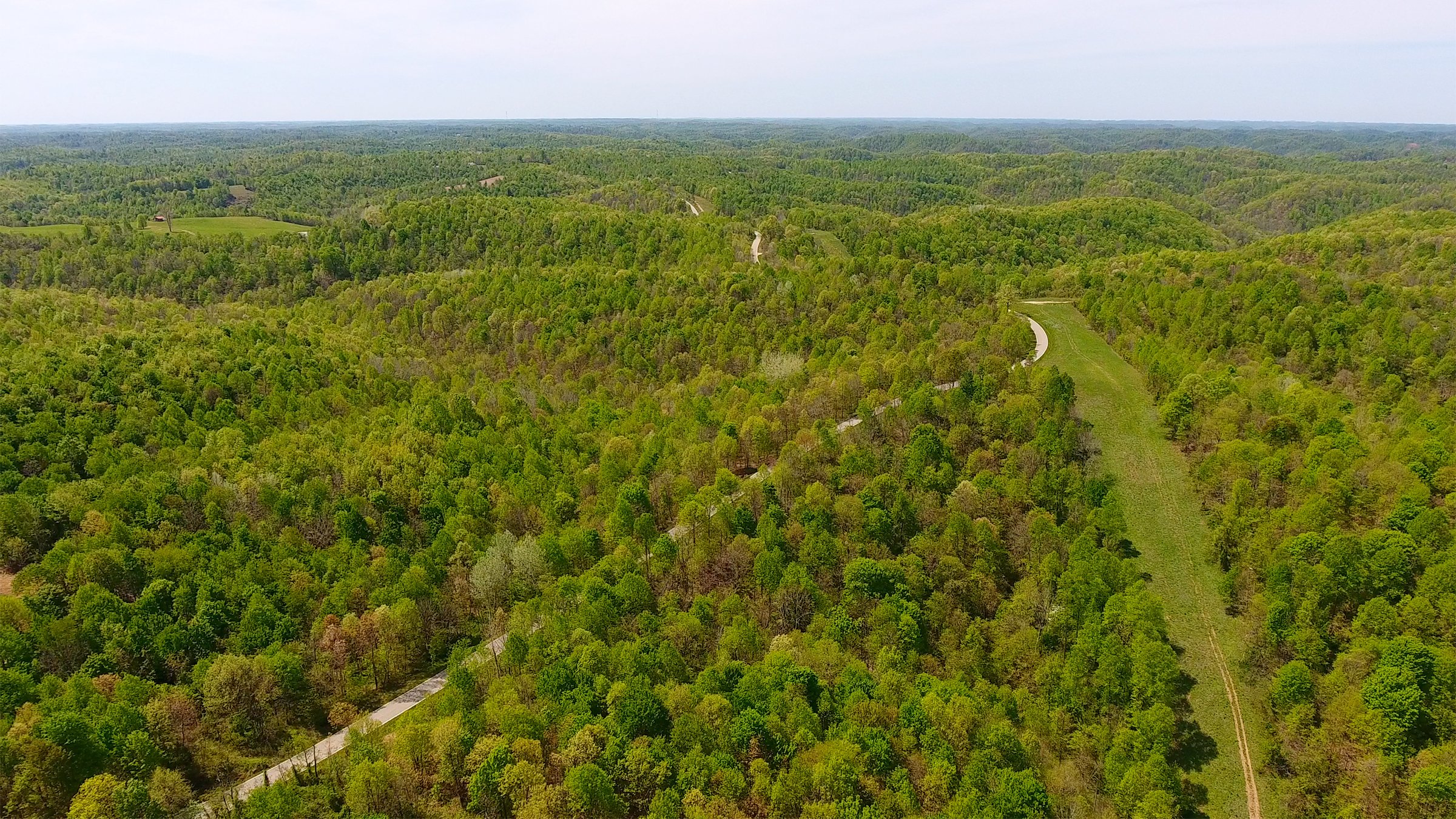 Property photo 7 - LAND AUCTION - 1,682+/- ACRES OFFERED IN 17 TRACTS IN LEWIS & GREENUP COUNTIES, KENTUCKY